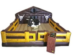 MECHANICAL BULL