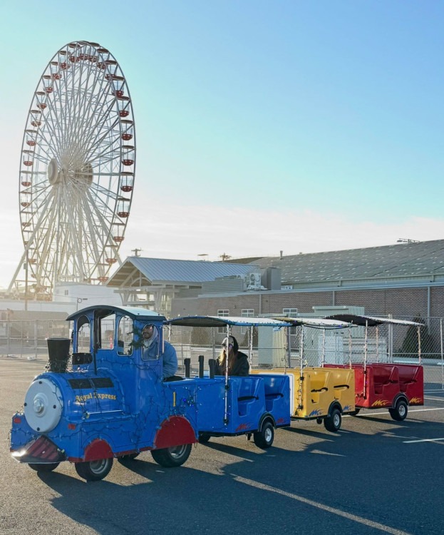 Royal Train