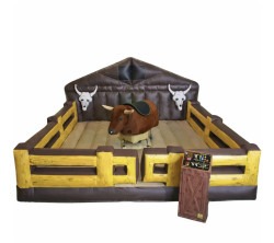 MECHANICAL BULL