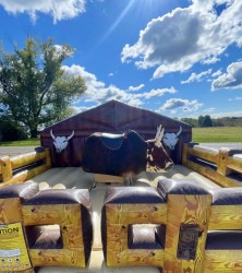 IMG 8010 1774803608 MECHANICAL BULL
